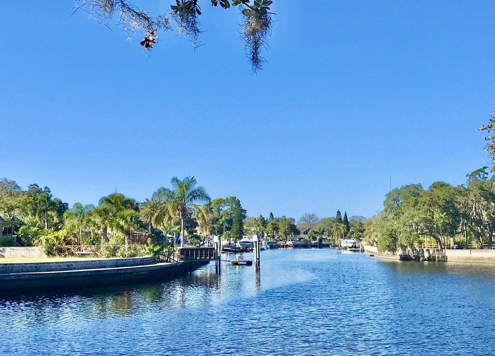 Sims Park New Port Richey