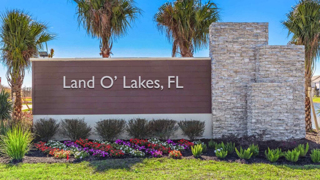 family photographer Land O Lakes FL